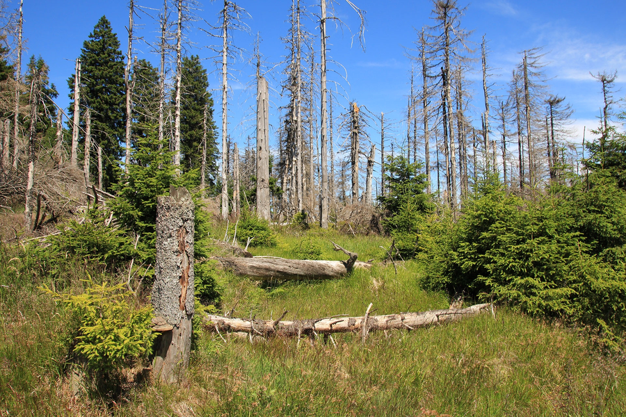 Brocken Bikepacking 2020